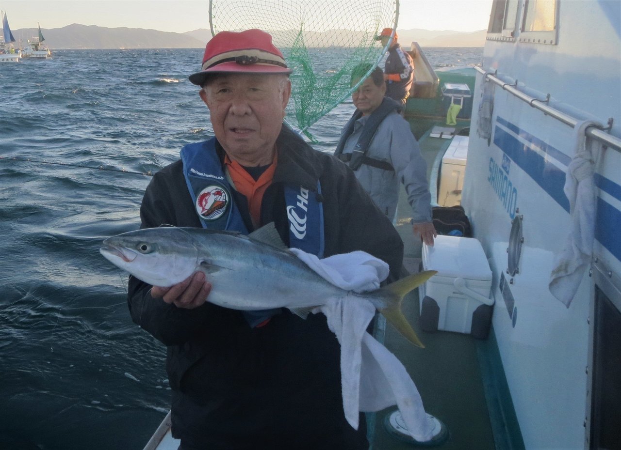 イナダを落とし込み釣りで狙おう！ブリの若魚 イナダの釣り方やタックル、美味しい食べ方まで大公開！