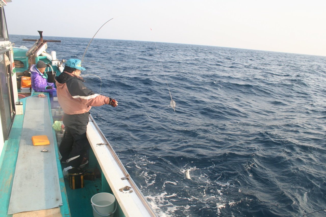 マサバ釣りの様子