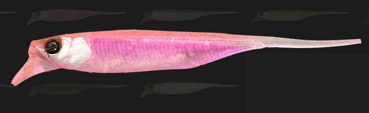 ワームのアップ写真