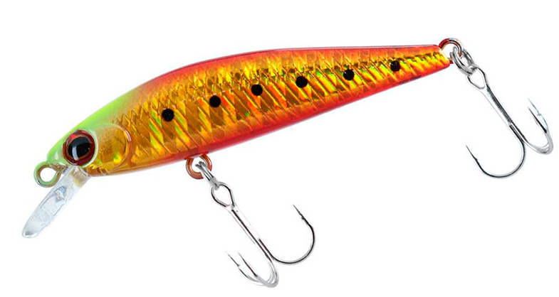 ルアーのアップ写真