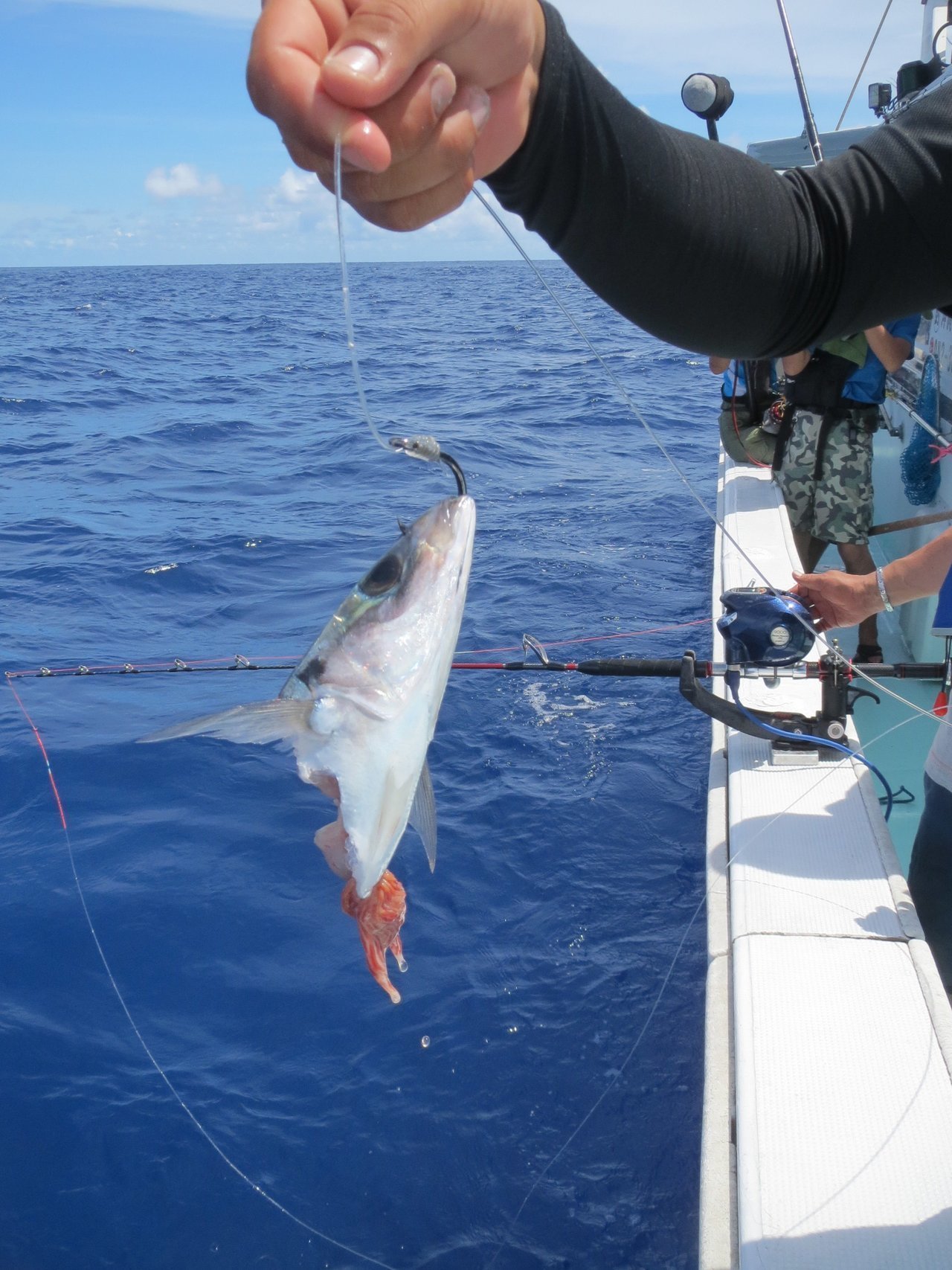 ムロアジの写真