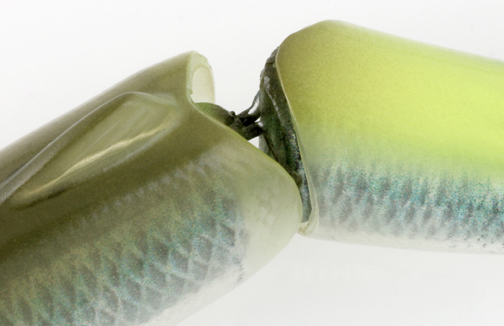 ソフトシェルの盛り上がりが分かりやすいジョイント部