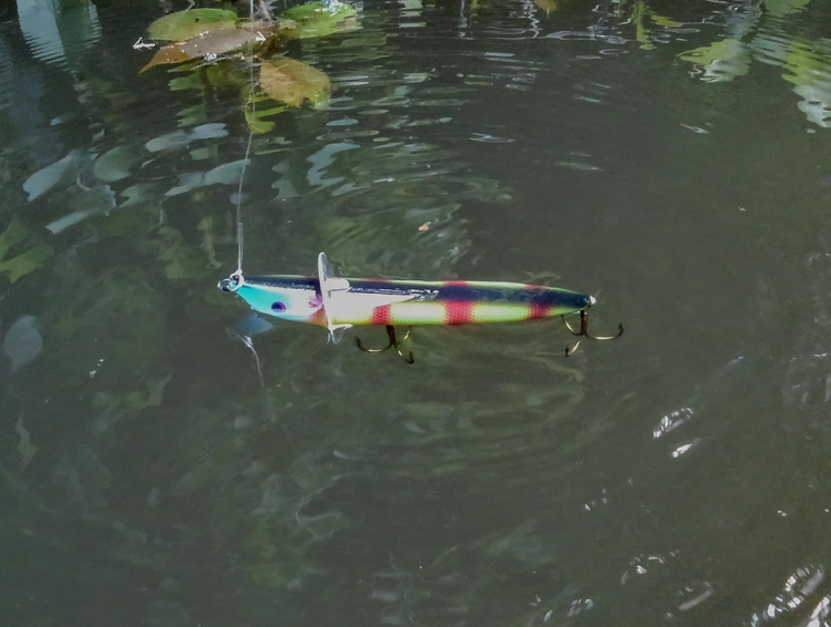 ルアーのアップ写真