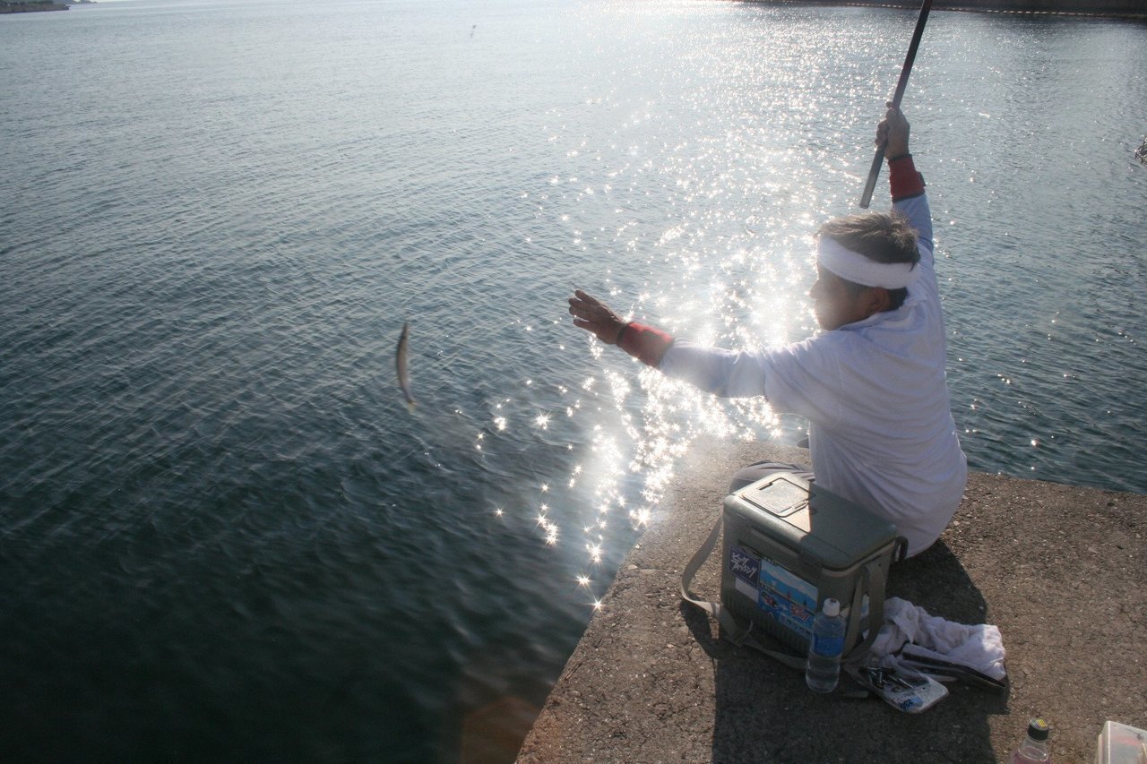 カマスってどんな魚 仕掛けやタックル カマスの上手な釣り方から美味しい食べ方まで大特集