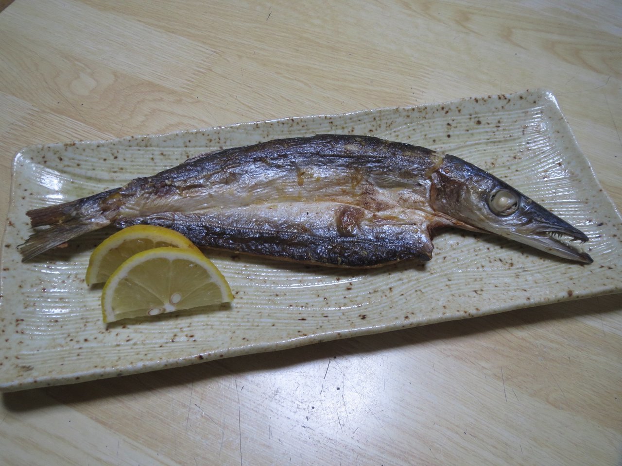 カマスってどんな魚 仕掛けやタックル カマスのの上手な釣り方から美味しい食べ方まで大特集