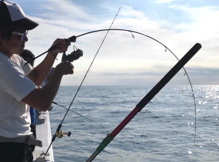 ソルティシェィプダッシュのSLJの写真