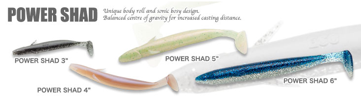 ワームのアップ写真