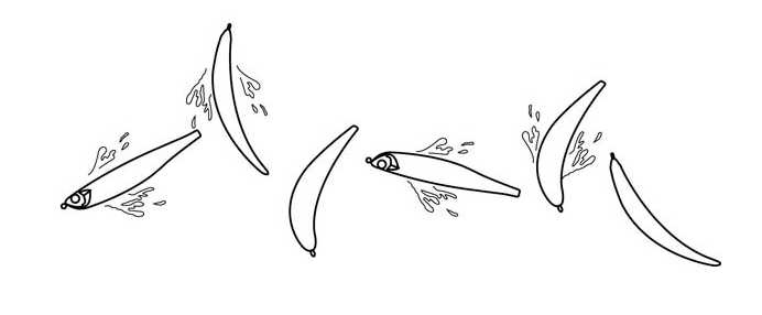 ルアーのイラスト