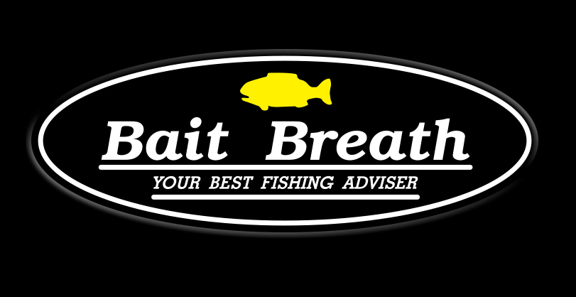 ベイトブレス特集！バス釣り・ソルトウォーターゲームで欠かせない定番ルアーを徹底チェック