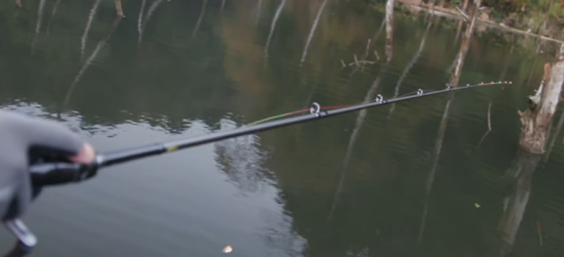 ロッドのアップ写真