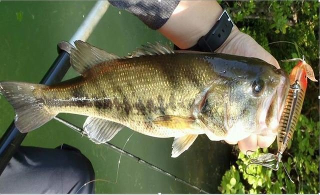 バスフィッシング　ルアー