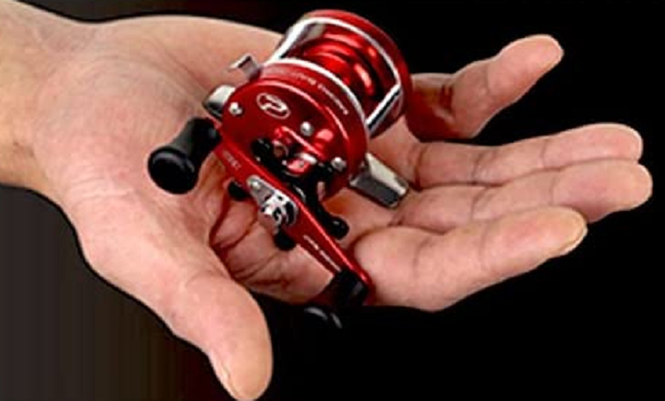 リールのアップ写真