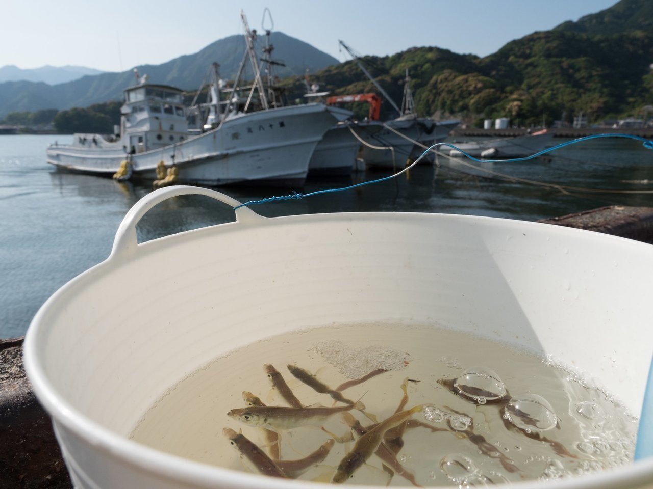 おすすめ】船からの大物泳がせ釣りにあれば非常に便利なグッズ