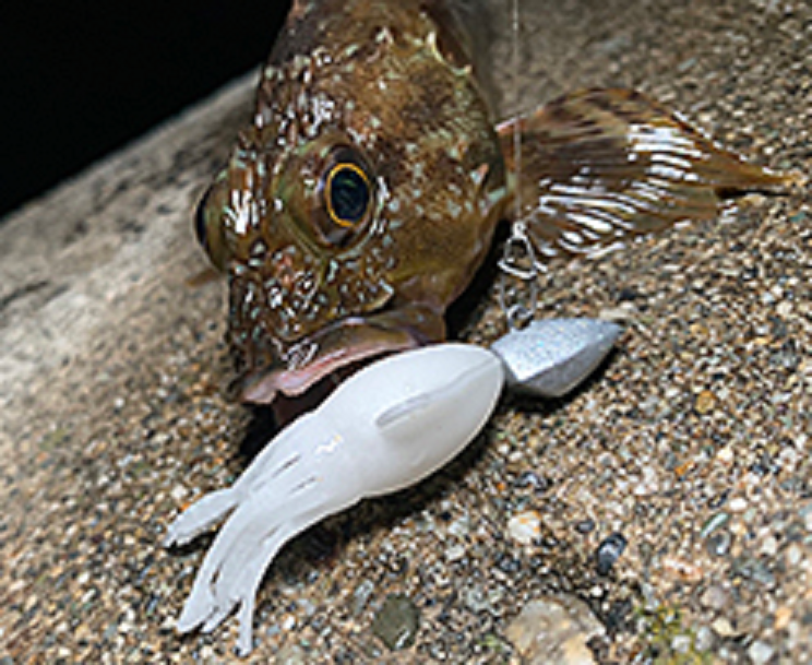 魚とルアーのアップ写真