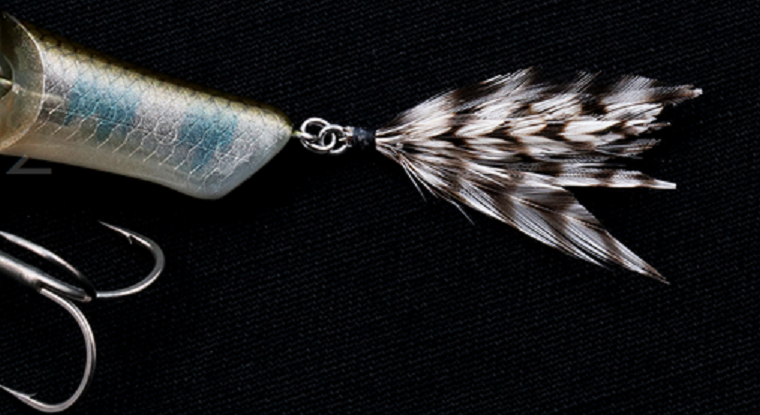 ルアーのアップ写真