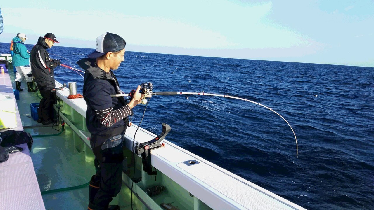 マダラの釣り方を解説 エサ釣りやジギングで楽しめるマダラ釣り特集