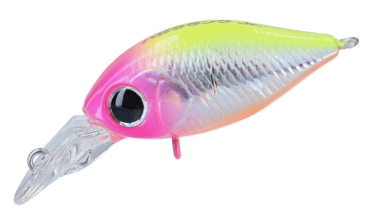 ルアーのアップ写真