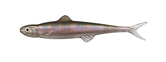 ルアーのアップ写真