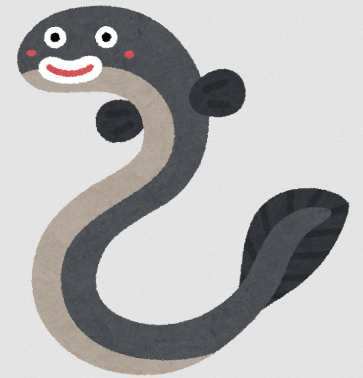 うなぎのイラスト