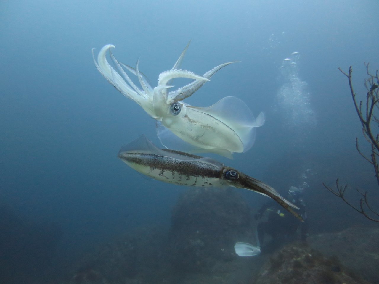 潮時と天気を考えて釣行日を決めよう 潮と魚の関係性を徹底解説