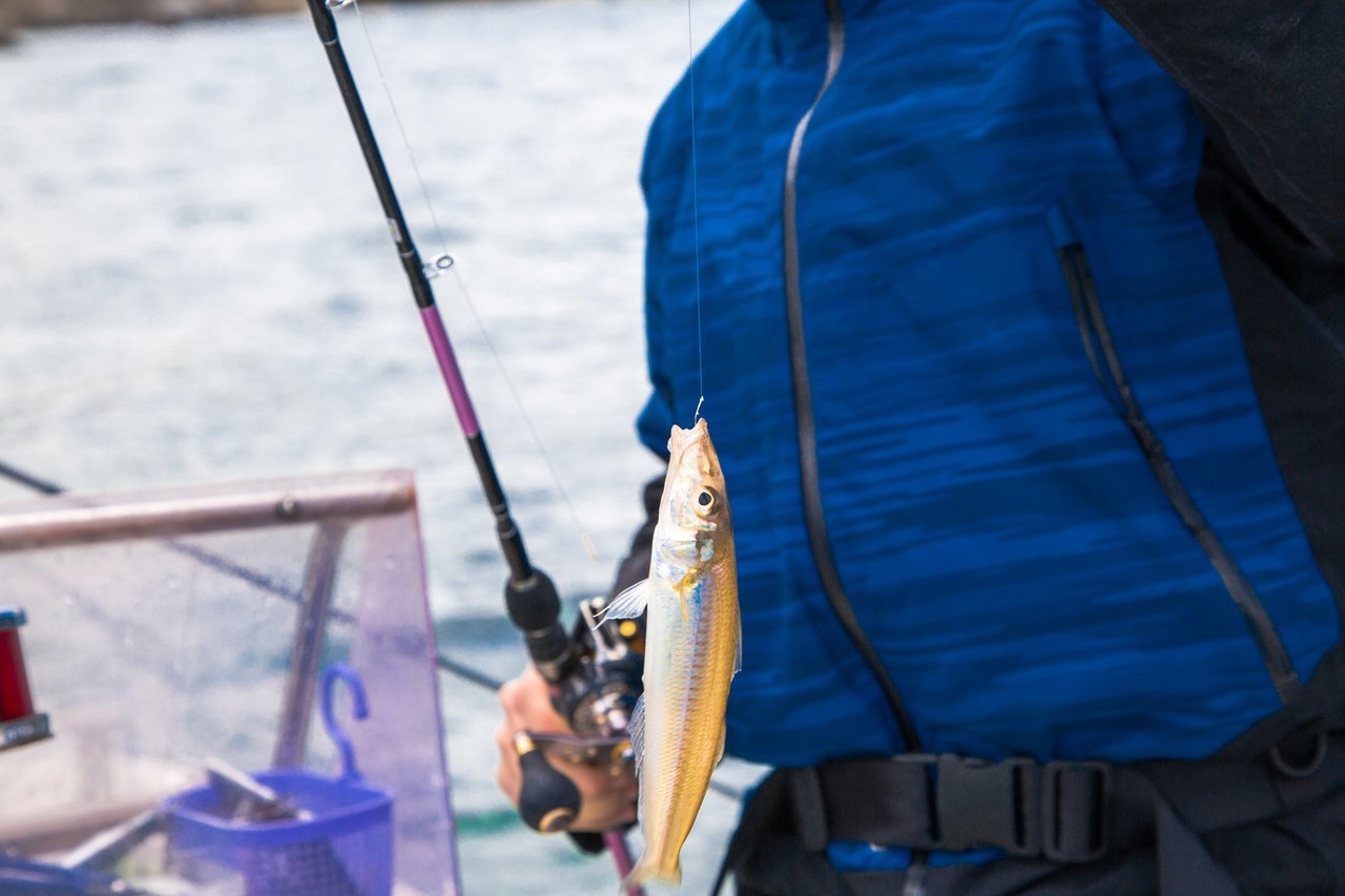 天候と魚の釣れやすさの関係とは 釣り種別のオススメ釣行天気もご紹介