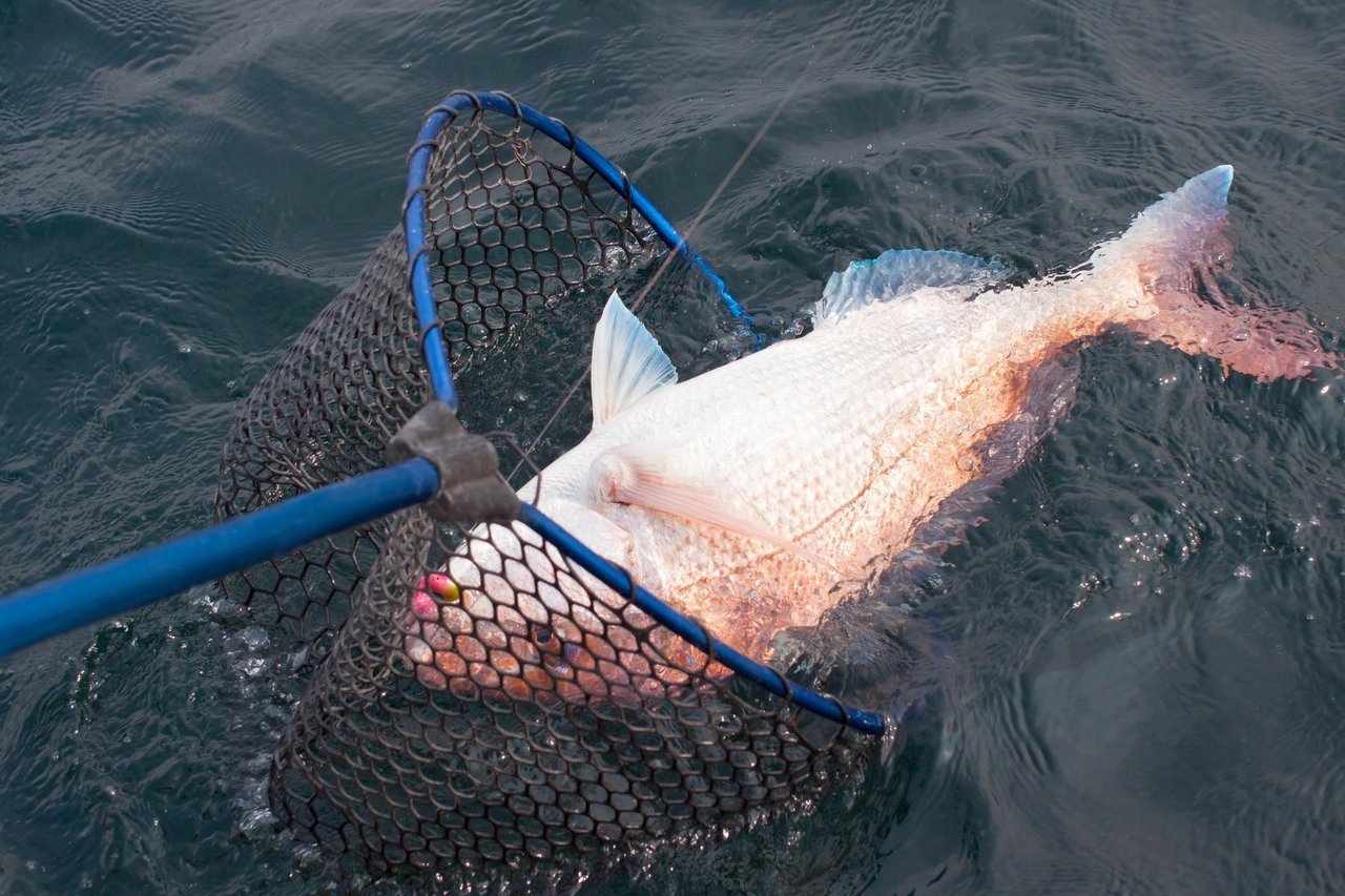 天候と魚の釣れやすさの関係とは 釣り種別のオススメ釣行天気もご紹介