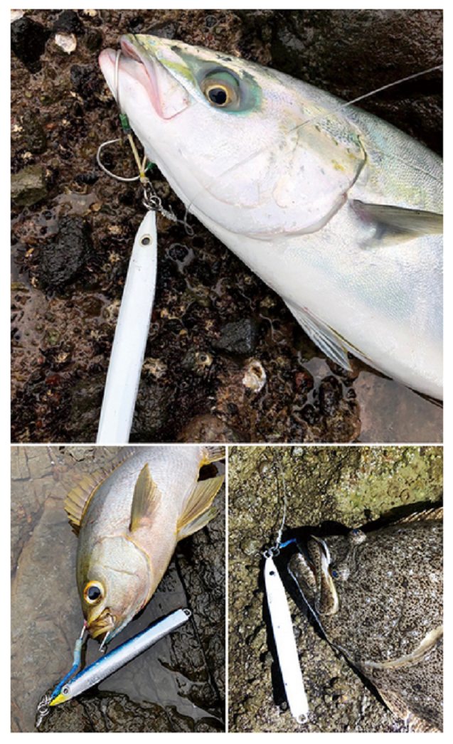 メタルジグと魚のアップ写真