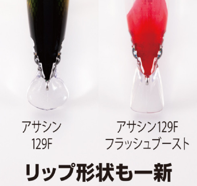 ルアーのアップ写真