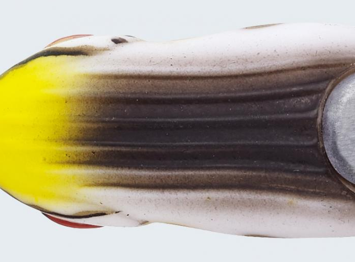 ルアーのアップ写真