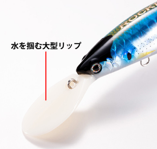 ルアーのアップ写真