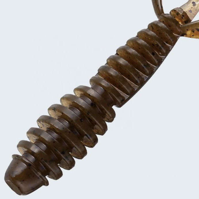 ワームのアップ写真