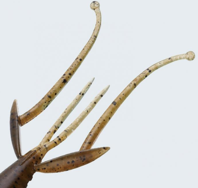 ワームのアップ写真