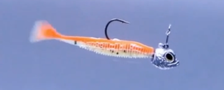 ジグヘッドとワームのアップ写真