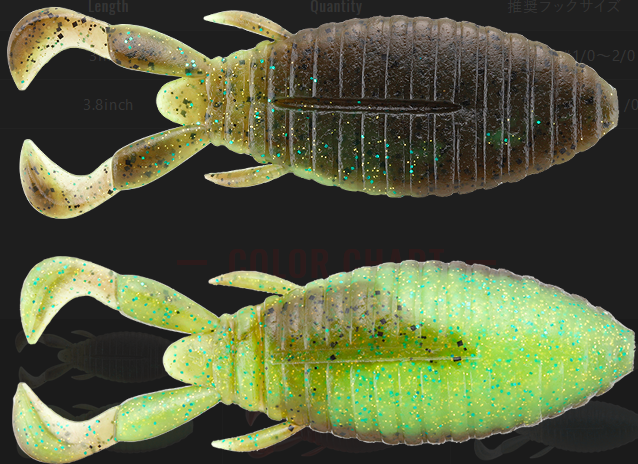 ワームのアップ写真