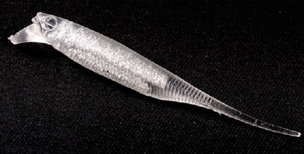 ワームのアップ写真