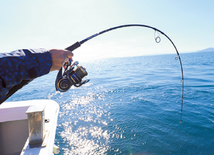 ロッドのアップ写真