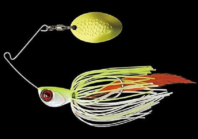 ルアーのアップ写真