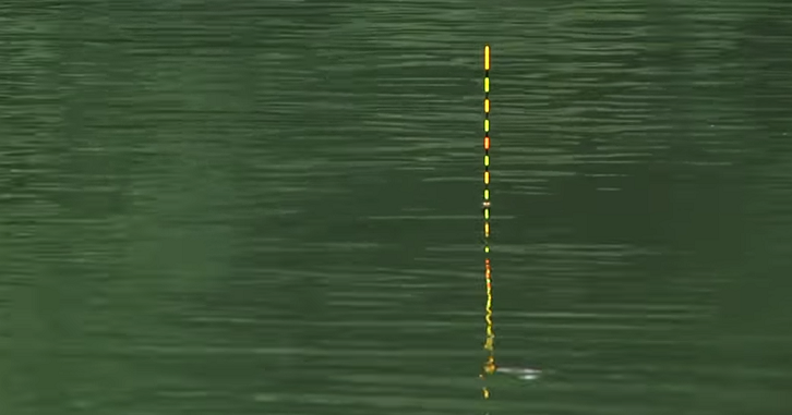 ウキのアップ写真