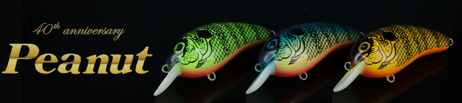 ルアーのアップ写真