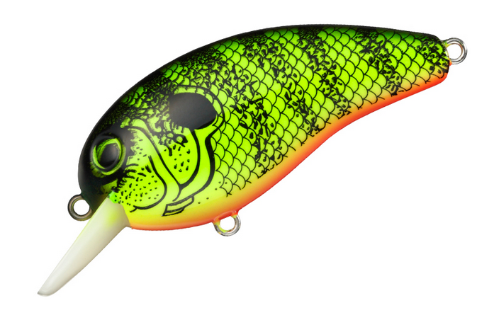 ルアーのアップ写真