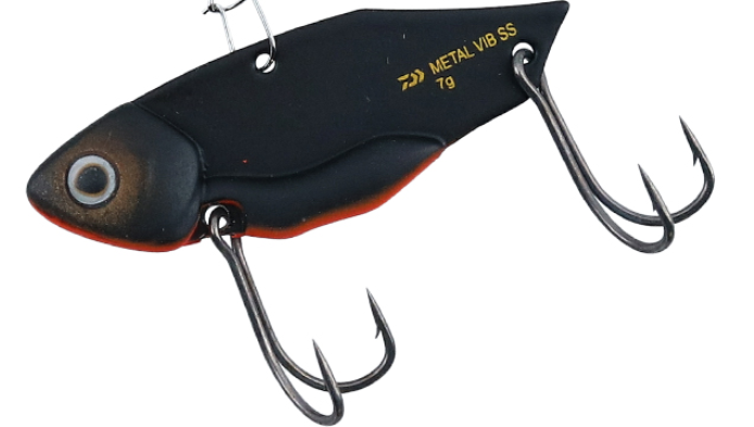 ルアーのアップ写真