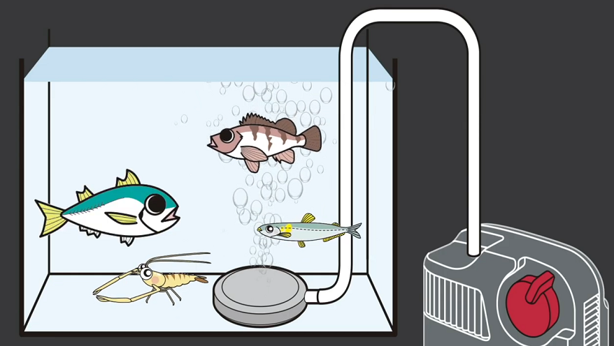 エアーポンプのイラスト