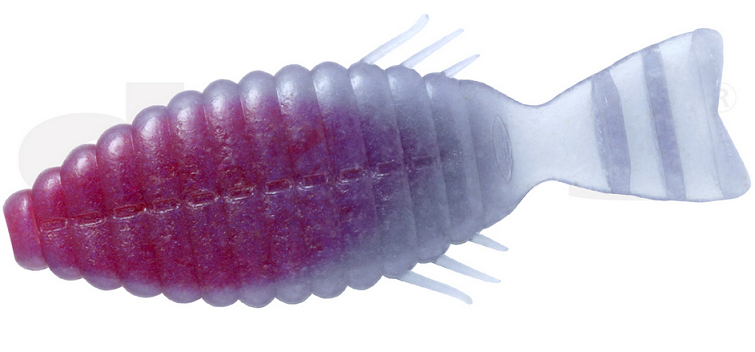 ワームのアップ写真