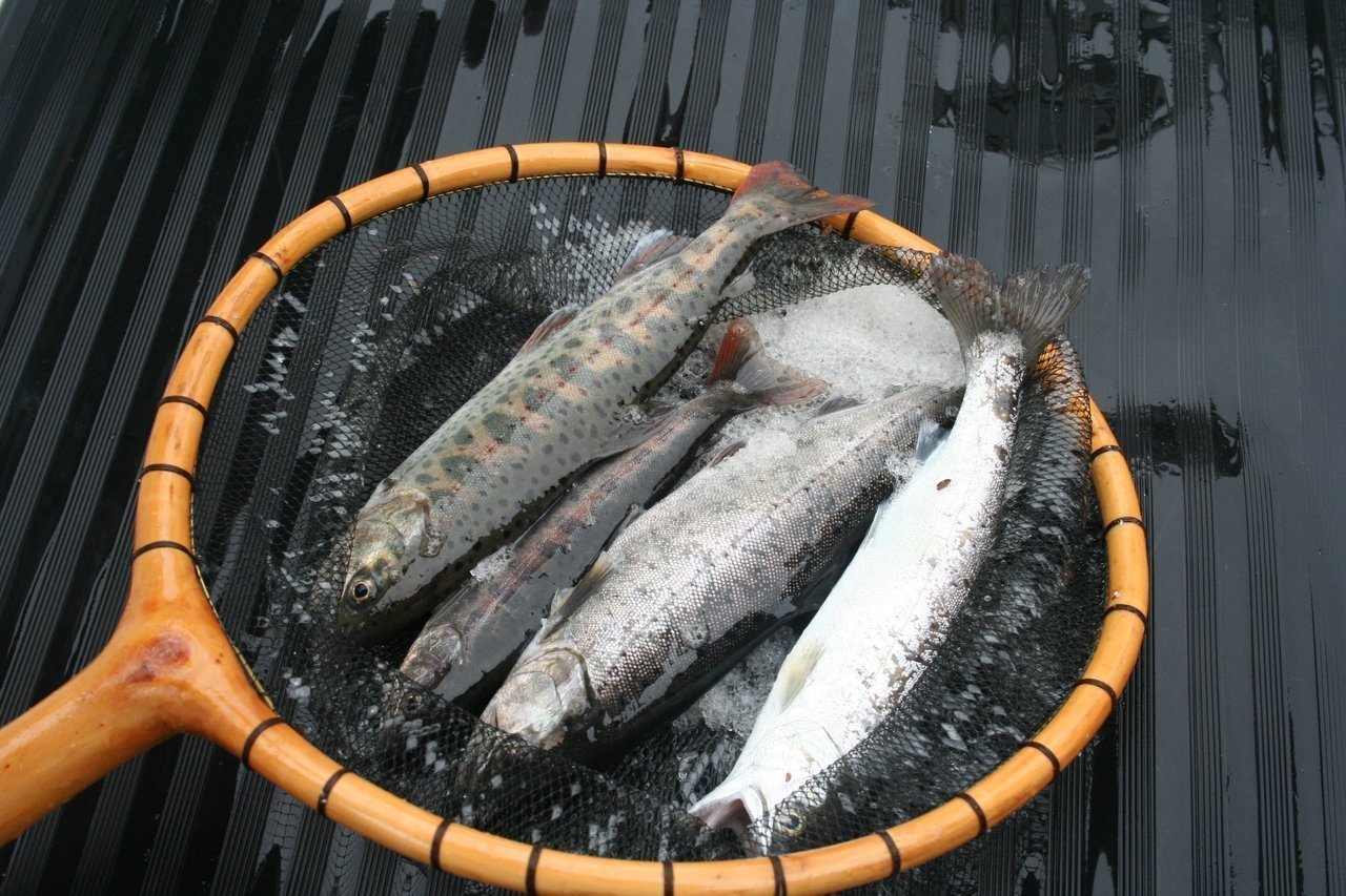 湖に潮汐ってある 湖や海の潮汐について徹底解説