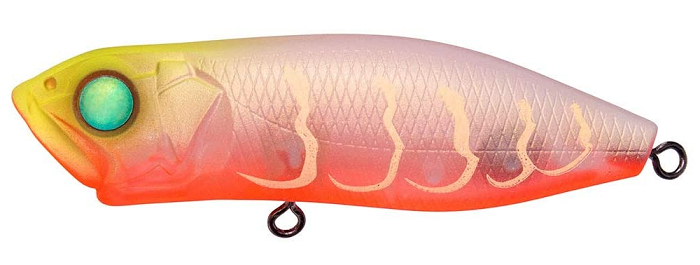 ルアーのアップ写真