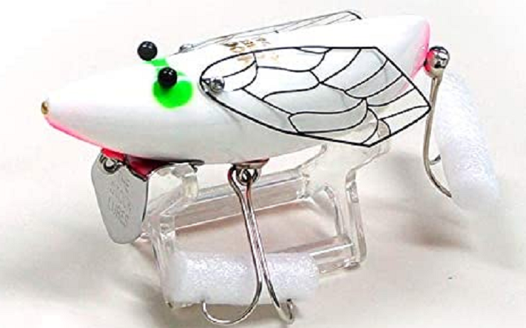 ルアーのアップ写真