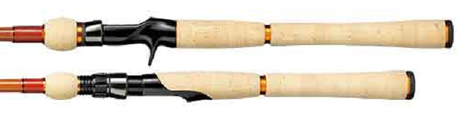 ロッドのアップ写真