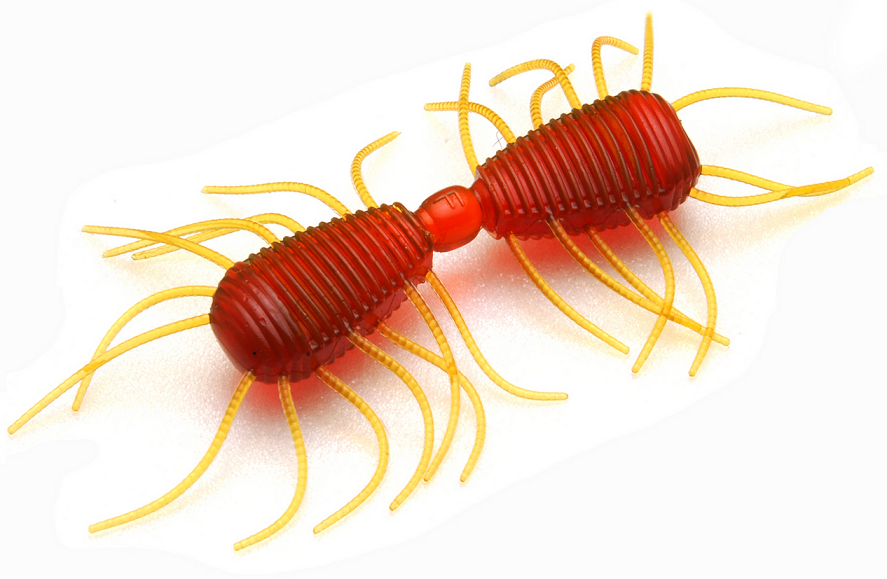 ワームのアップ写真