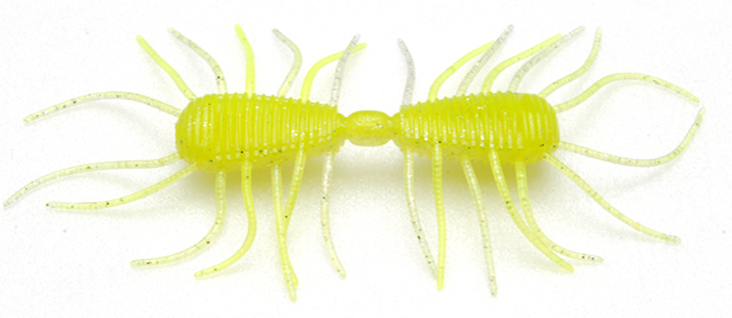 ワームのアップ写真