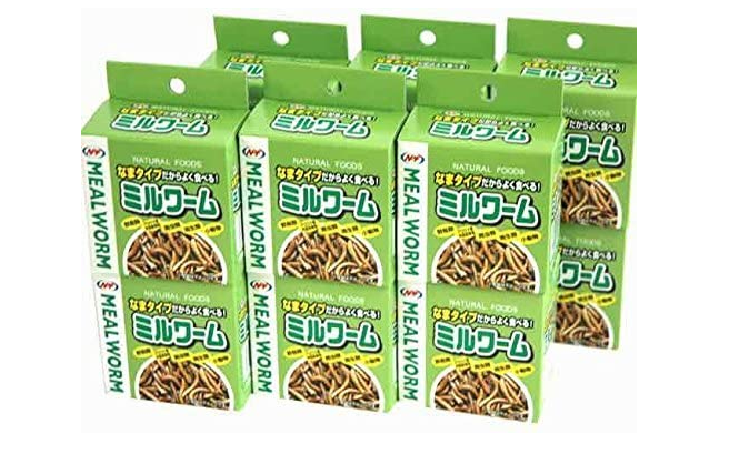 餌のアップ写真